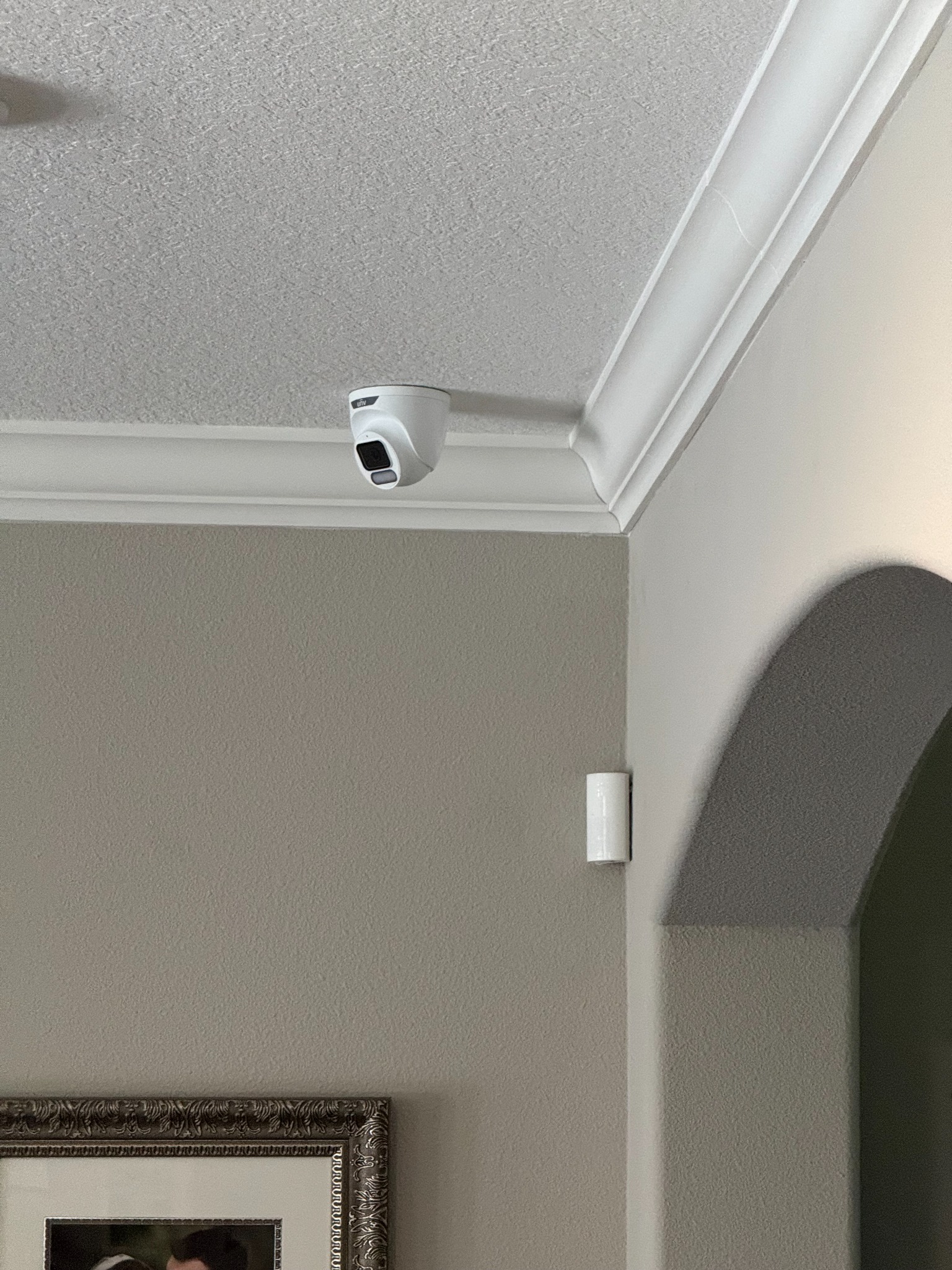 Security Cameras project 7